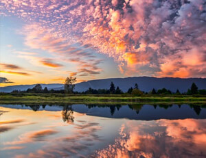 苹果CMSV10播放器dplayer优化版