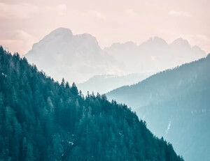 苹果CMSV10整合dplayer播放器教程